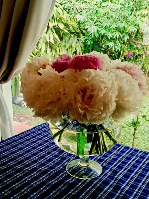 Bamboo Garden Resort Phu Quoc Exteriér fotografie